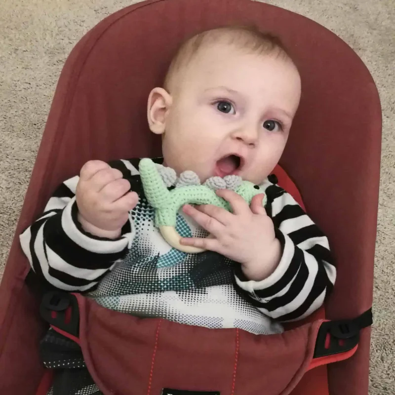 Rattle Ring Dinosaur DINO – Toddler Using Product Toddler sitting in a red seat holding the Dinosaur DINO rattle ring in hand